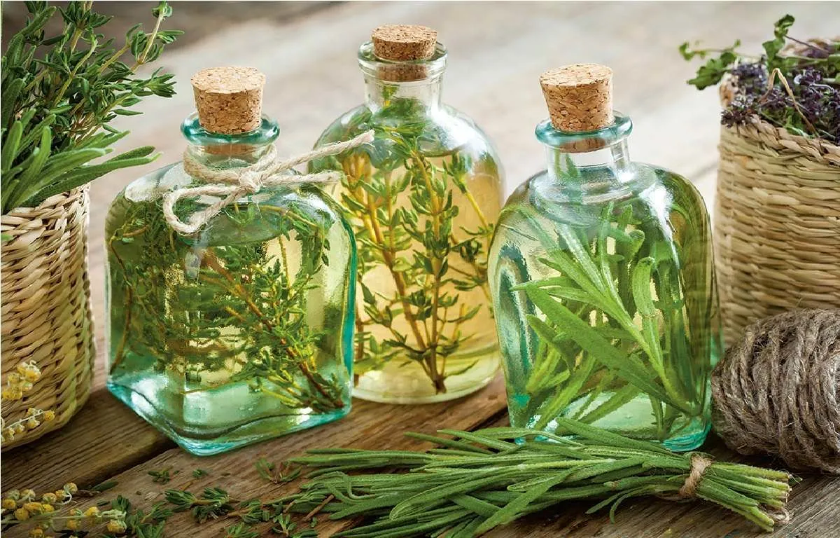 عرقیجات گیاهی